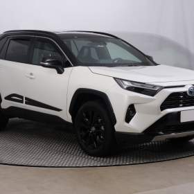 Toyota Rav4 2.5 Hybrid / 19599992