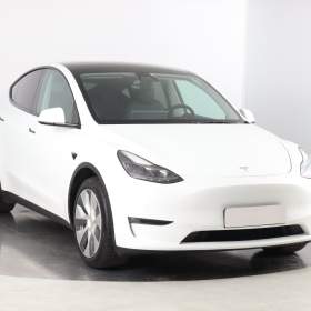 Tesla Model Y Long Range AWD 79kWh / 19612352