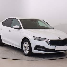 Škoda Octavia 2.0 TDI / 19613445