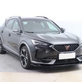 Cupra Formentor 2.0 TSI VZ 4Drive / 19615827