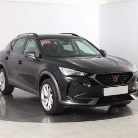 Cupra Formentor 2.0 TSI 4Drive / 19618642