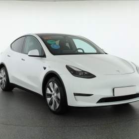 Tesla Model Y Long Range AWD 79kWh / 19624306