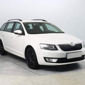 Fotka k inzerátu Škoda Octavia 2.0 TDI / 19618936