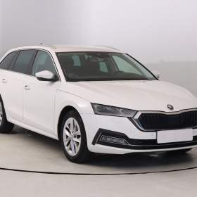 Fotka k inzerátu Škoda Octavia 2.0 TDI / 19625446