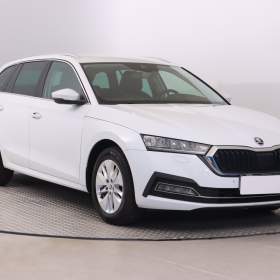 Fotka k inzerátu Škoda Octavia 2.0 TDI / 19625446