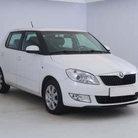 Škoda Fabia 1.6 TDI / 19630807