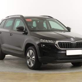 Škoda Karoq 2.0 TDI / 19658719