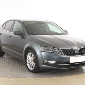 Fotka k inzerátu Škoda Octavia 2.0 TDI / 19658732