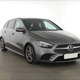 Mercedes- Benz Třídy B B 220 4MATIC / 19665174