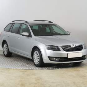 Fotka k inzerátu Škoda Octavia 2.0 TDI / 19670962
