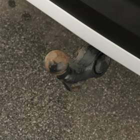 Foto inzerátu Škoda Kodiaq 2.0 TDI