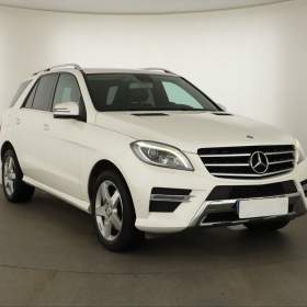 Mercedes- Benz ML ML 250 BlueTEC / 19690287