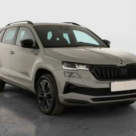 Skoda Karoq 1.5 TSI / 19775352