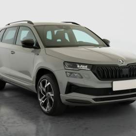 Skoda Karoq 2.0 TDI / 19788963