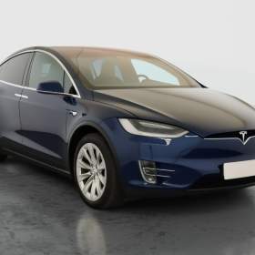 Tesla Model X 100D / 19823145