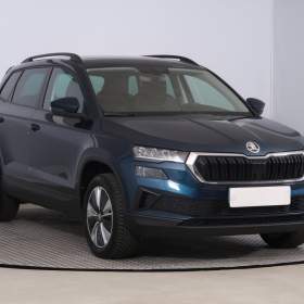 Skoda Karoq 2.0 TDI / 19829816