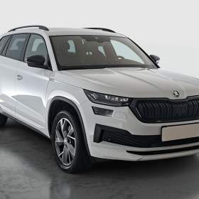 Skoda Kodiaq 2.0 TDI / 19842448