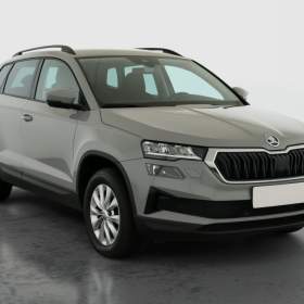 Skoda Karoq 2.0 TDI / 19849392