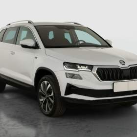Skoda Karoq 2.0 TDI / 19863312
