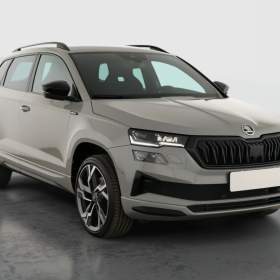 Skoda Karoq 2.0 TDI / 19864183