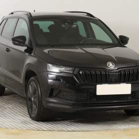 Skoda Karoq 2.0 TDI / 19884351