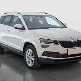 Skoda Karoq 2.0 TDI / 19893753