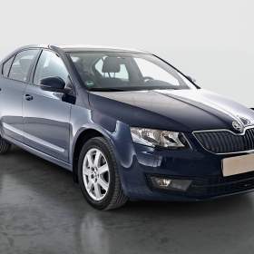 Skoda Octavia 1.6 TDI 4x4 / 19920019