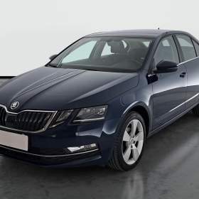 Foto inzerátu Skoda Octavia 2.0 TDI 4x4