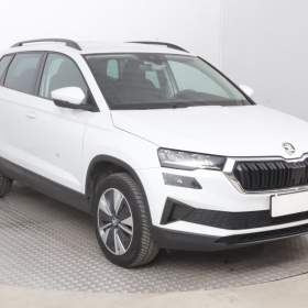 Skoda Karoq 2.0 TDI / 19925168