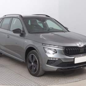 Skoda Kamiq 1.5 TSI / 19928461