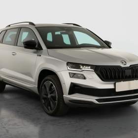 Skoda Karoq 2.0 TDI / 19930752
