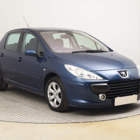 Peugeot 307 1.6 16V / 19937653