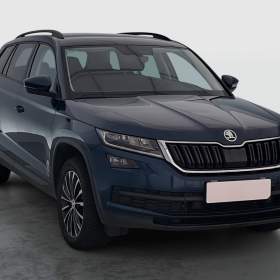 Skoda Kodiaq 2.0 TDI 4x4 / 19939636
