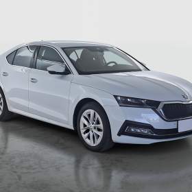 Skoda Octavia 2.0 TDI / 19940018