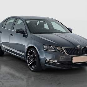 Skoda Octavia 2.0 TDI / 19943841