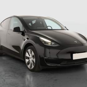 Tesla Model Y Long Range AWD 79kWh / 19948242
