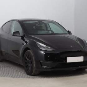 Tesla Model Y Long Range AWD 79kWh / 19948247