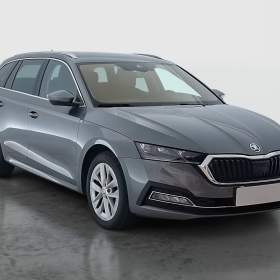 Skoda Octavia 2.0 TDI / 19948248