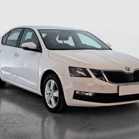 Skoda Octavia 1.6 TDI / 19948304