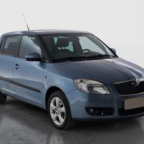 Skoda Fabia 1.2 / 19948423