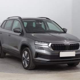 Skoda Karoq 2.0 TDI / 19948911