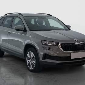 Skoda Karoq 1.5 TSI / 19950433