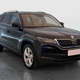 Skoda Kodiaq 2.0 TDI 4x4 / 19950969