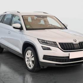 Skoda Kodiaq 2.0 TSI / 19951913
