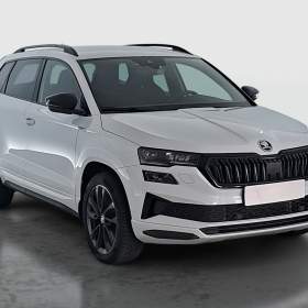 Skoda Karoq 2.0 TSI / 19951973