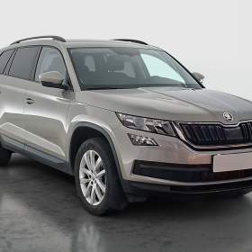Skoda Kodiaq 2.0 TDI 4x4 / 19953088