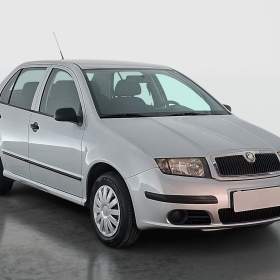 Skoda Fabia 1.2 12V / 19953191