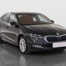 Skoda Octavia 2.0 TDI / 19953742