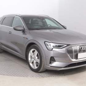 Audi e- tron e- tron 50 quattro / 19953754