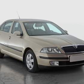 Skoda Octavia 1.9 TDI / 19953780